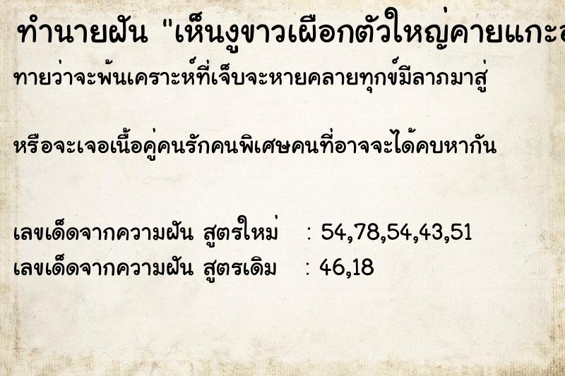 ทำนายฝันเห็นงูขาวเผือกตัวใหญ่คายแกะออกมา3ตัว ทำนายฝันทำนายฝันเห็นงูขาวเผือกตัวใหญ่คายแกะออกมา3ตัว
