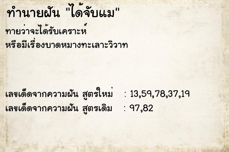 ทำนายฝันได้จับแม ทำนายฝันทำนายฝันได้จับแม