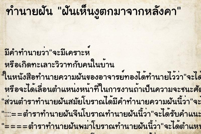 ทำนายฝัน ฝันเห็นงูตกมาจากหลังคา ทำนายฝัน ฝันเห็นงูตกมาจากหลังคา