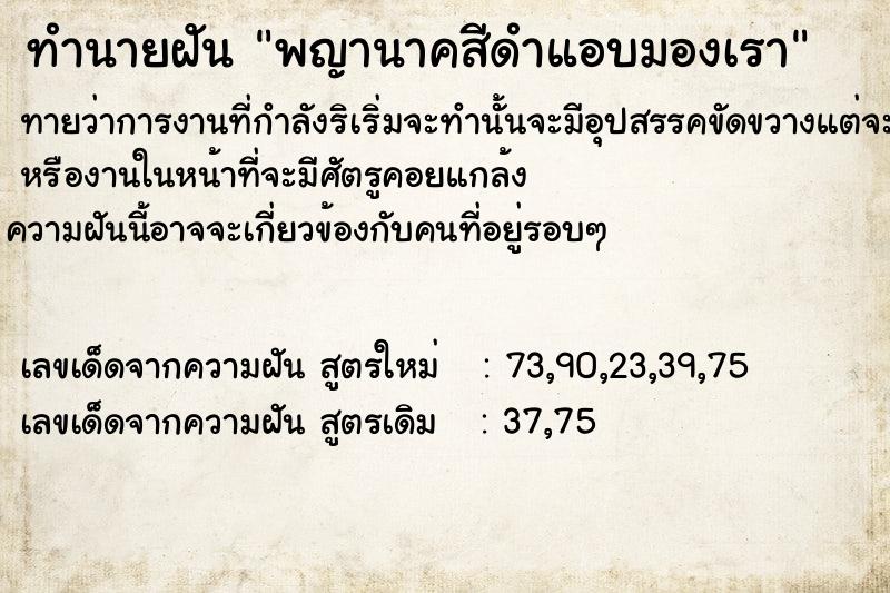 ทำนายฝันทำนายฝันพญานาคสีดำแอบมองเรา