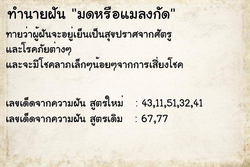 ทำนายฝัน มดหรือแมลงกัด