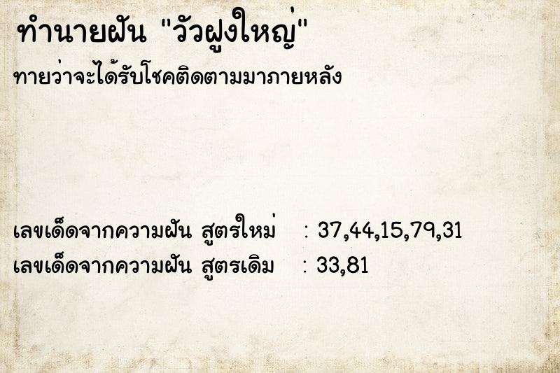 ทำนายฝันวัวฝูงใหญ่ ทำนายฝันทำนายฝันวัวฝูงใหญ่