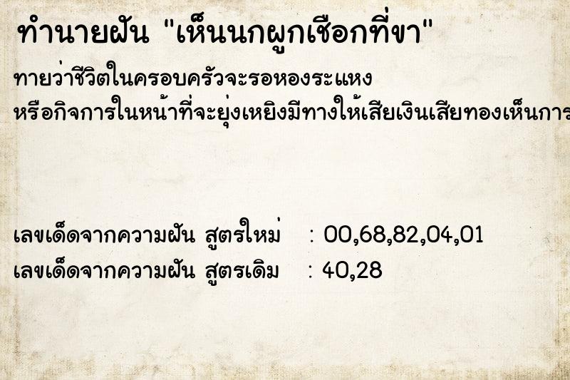 ทำนายฝันทำนายฝันเห็นนกผูกเชือกที่ขา