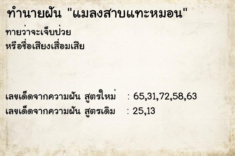 ทำนายฝันแมลงสาบแทะหมอน ทำนายฝันทำนายฝันแมลงสาบแทะหมอน