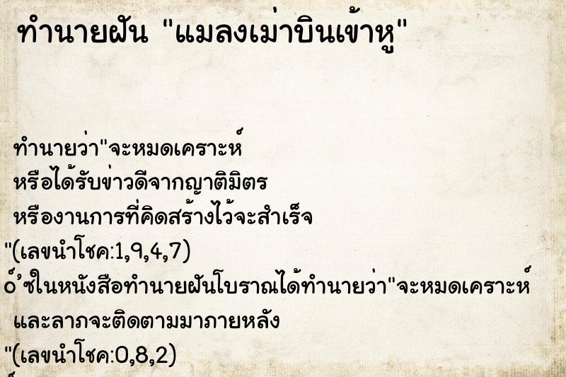 ทำนายฝันแมลงเม่าบินเข้าหู ทำนายฝันทำนายฝันแมลงเม่าบินเข้าหู