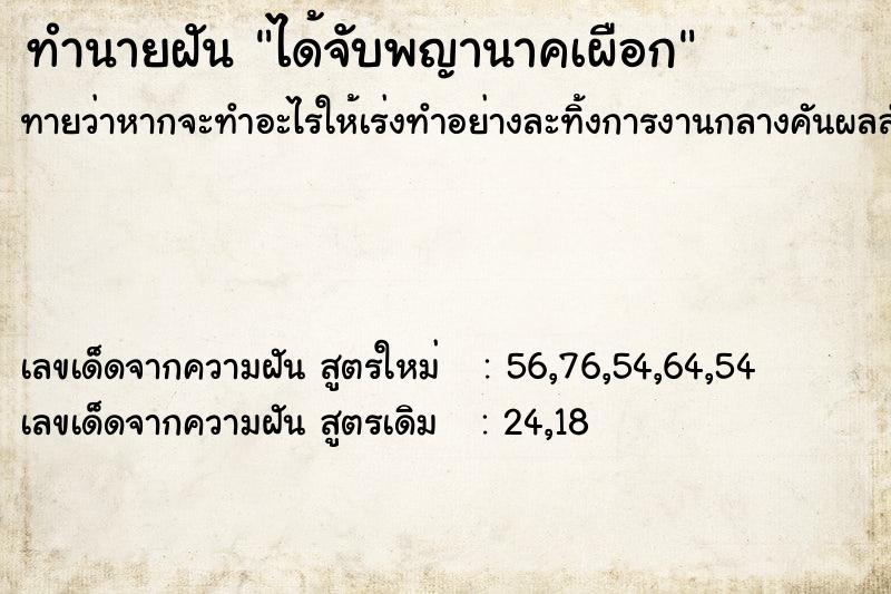 ทำนายฝันทำนายฝันได้จับพญานาคเผือก