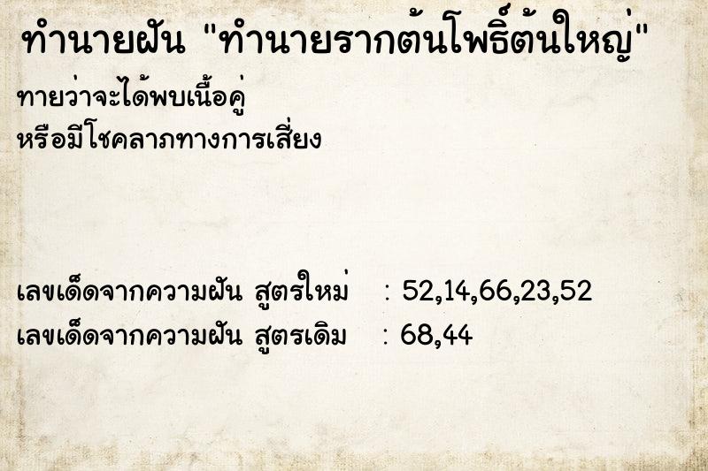 ทำนายฝันทำนายรากต้นโพธิ์ต้นใหญ่ ทำนายฝันทำนายฝันทำนายรากต้นโพธิ์ต้นใหญ่