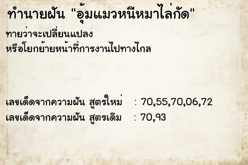 ทำนายฝันอุ้มแมวหนีหมาไล่กัด ทำนายฝันทำนายฝันอุ้มแมวหนีหมาไล่กัด