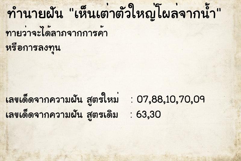 ทำนายฝันทำนายฝันเห็นเต่าตัวใหญ่โผล่จากน้ำ