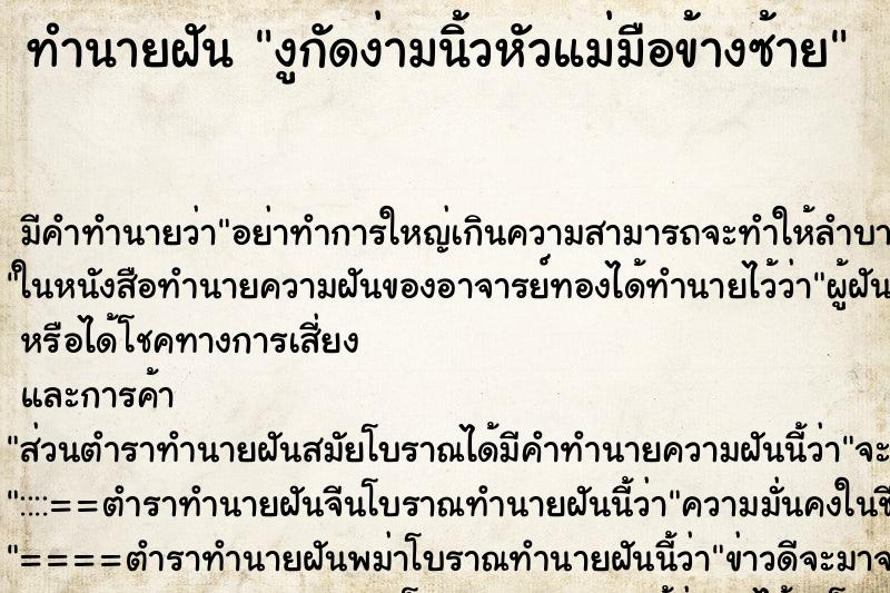 ทำนายฝันงูกัดง่ามนิ้วหัวแม่มือข้างซ้าย ทำนายฝันทำนายฝันงูกัดง่ามนิ้วหัวแม่มือข้างซ้าย