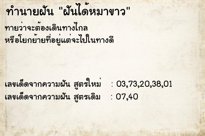 ทำนายฝันฝันได้หมาขาว ทำนายฝันทำนายฝันฝันได้หมาขาว