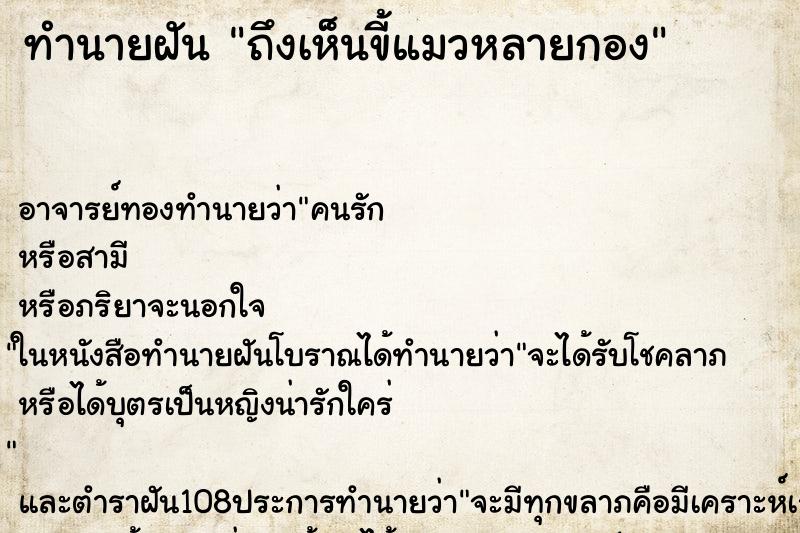 ทำนายฝันถึงเห็นขี้แมวหลายกอง ทำนายฝันทำนายฝันถึงเห็นขี้แมวหลายกอง