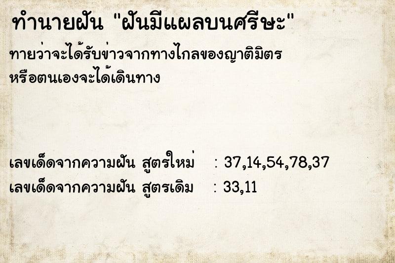 ทำนายฝันฝันมีแผลบนศรีษะ ทำนายฝันทำนายฝันฝันมีแผลบนศรีษะ