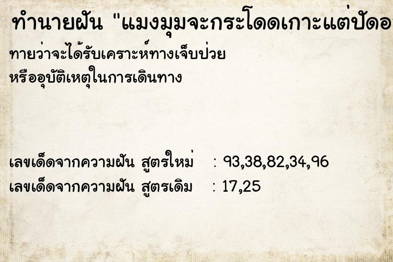 ทำนายฝันแมงมุมจะกระโดดเกาะแต่ปัดออก ทำนายฝันทำนายฝันแมงมุมจะกระโดดเกาะแต่ปัดออก