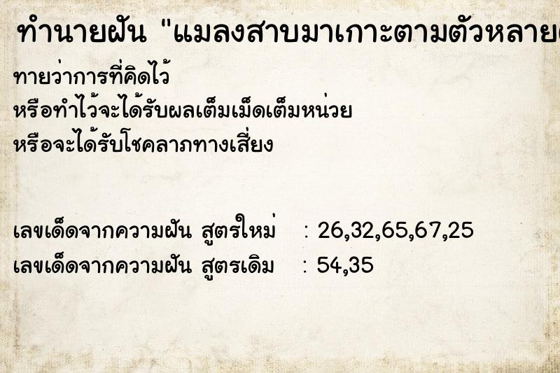 ทำนายฝันทำนายฝันแมลงสาบมาเกาะตามตัวหลายตัวปัดออก
