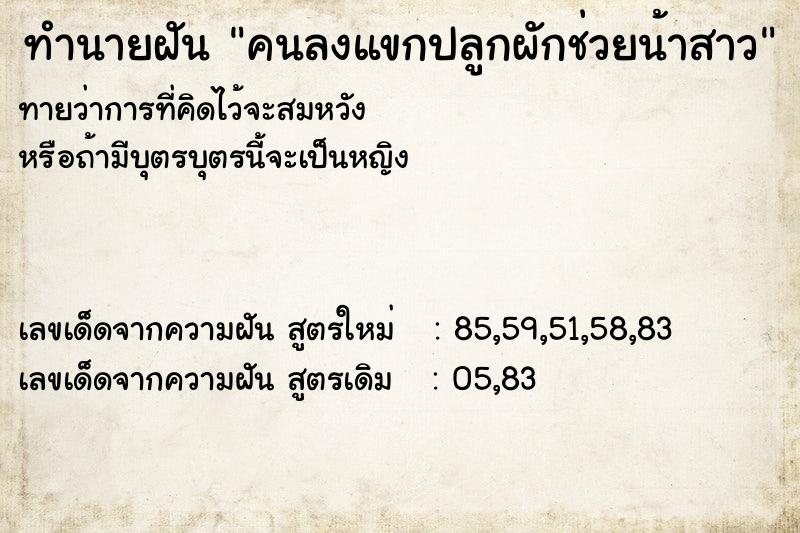 ทำนายฝันคนลงแขกปลูกผักช่วยน้าสาว ทำนายฝันทำนายฝันคนลงแขกปลูกผักช่วยน้าสาว