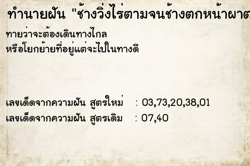 ทำนายฝันช้างวิ่งไร่ตามจนช้างตกหน้าผาตาย ทำนายฝันทำนายฝันช้างวิ่งไร่ตามจนช้างตกหน้าผาตาย