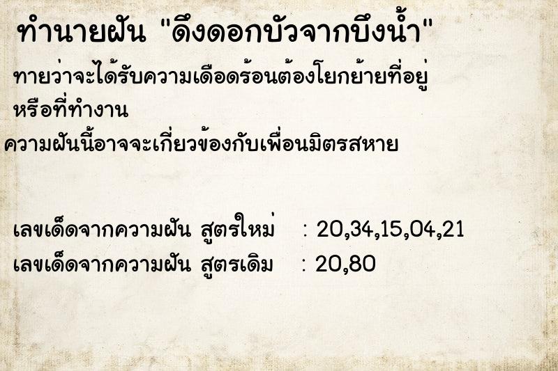 ทำนายฝัน ดึงดอกบัวจากบึงน้ำ ทำนายฝัน ดึงดอกบัวจากบึงน้ำ