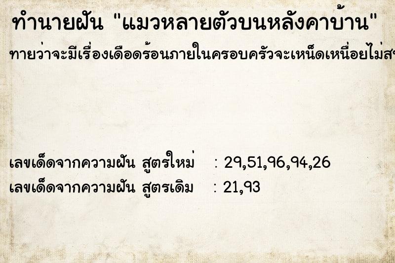 ทำนายฝันทำนายฝันแมวหลายตัวบนหลังคาบ้าน