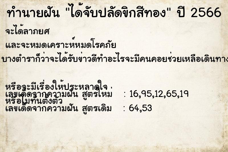 ทำนายฝัน ได้จับปลัดขิกสีทอง ทำนายฝัน ได้จับปลัดขิกสีทอง