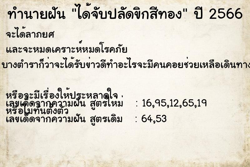 ทำนายฝัน ได้จับปลัดขิกสีทอง ตำราโบราณ แม่นที่สุดในโลก