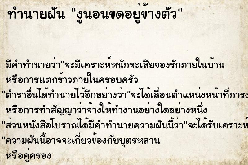 ทำนายฝันทำนายฝันงูนอนขดอยู่ข้างตัว