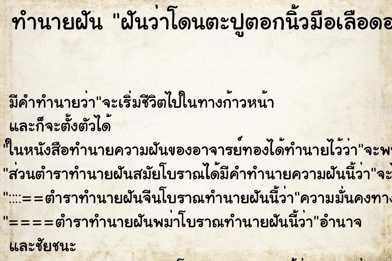 ทำนายฝัน ฝันว่าโดนตะปูตอกนิ้วมือเลือดออก ทำนายฝัน ฝันว่าโดนตะปูตอกนิ้วมือเลือดออก