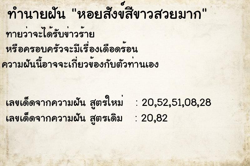 ทำนายฝันทำนายฝันหอยสังข์สีขาวสวยมาก