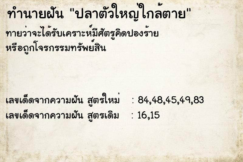 ทำนายฝัน ปลาตัวใหญ่ใกล้ตาย