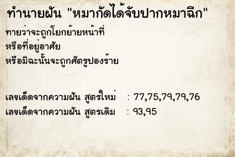 ทำนายฝันทำนายฝันหมากัดได้จับปากหมาฉีก