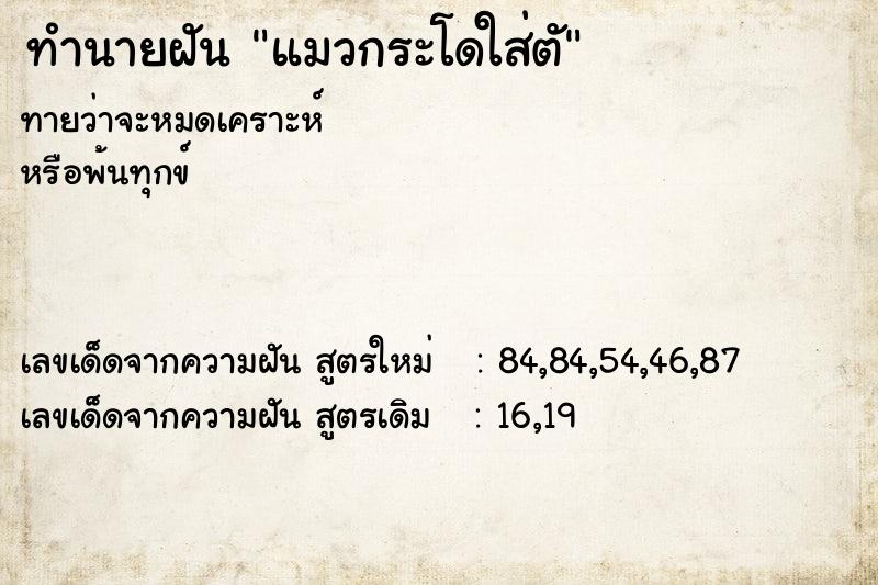 ทำนายฝันทำนายฝันแมวกระโดใส่ตั