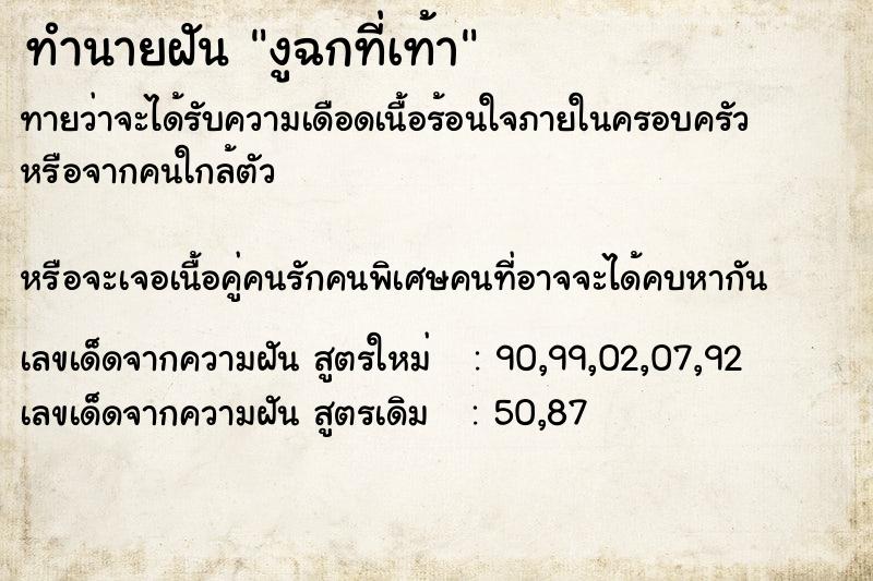 ทำนายฝันงูฉกที่เท้า ทำนายฝันทำนายฝันงูฉกที่เท้า
