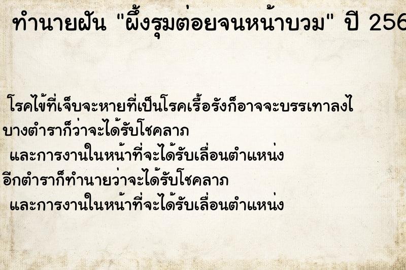 ทำนายฝัน ผึ้งรุมต่อยจนหน้าบวม ทำนายฝัน ผึ้งรุมต่อยจนหน้าบวม