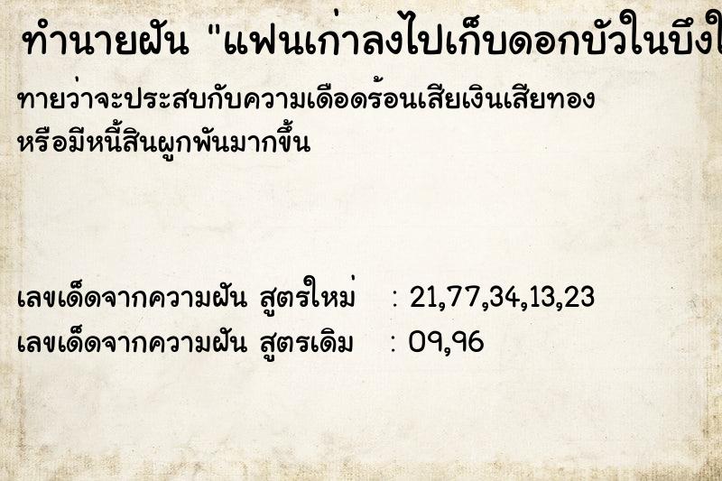 ทำนายฝันทำนายฝันแฟนเก่าลงไปเก็บดอกบัวในบึงให้