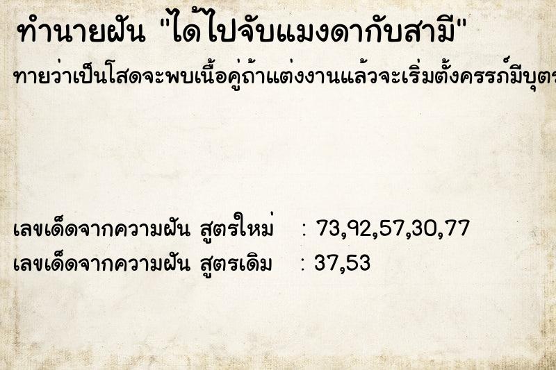 ทำนายฝันได้ไปจับแมงดากับสามี ทำนายฝันทำนายฝันได้ไปจับแมงดากับสามี