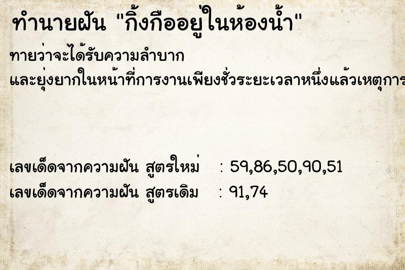 ทำนายฝัน กิ้งกืออยู่ในห้องน้ำ ตำราโบราณ แม่นที่สุดในโลก