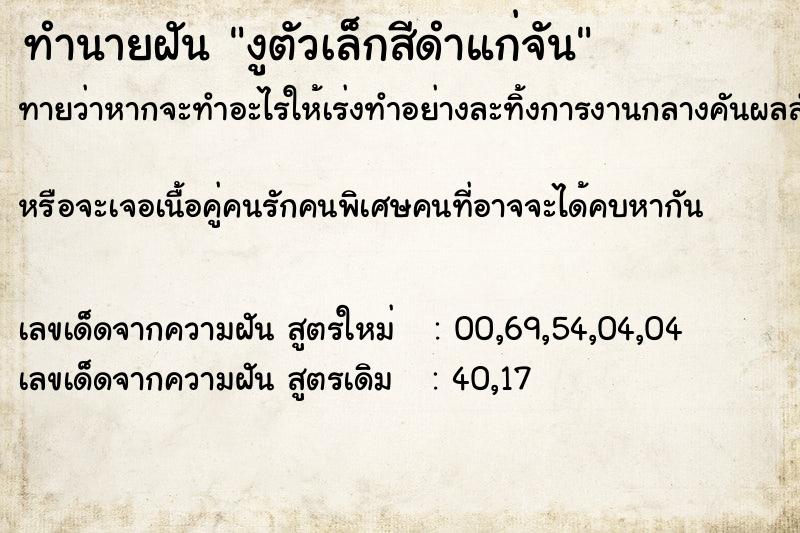 ทำนายฝันงูตัวเล็กสีดำแก่จัน ทำนายฝันทำนายฝันงูตัวเล็กสีดำแก่จัน