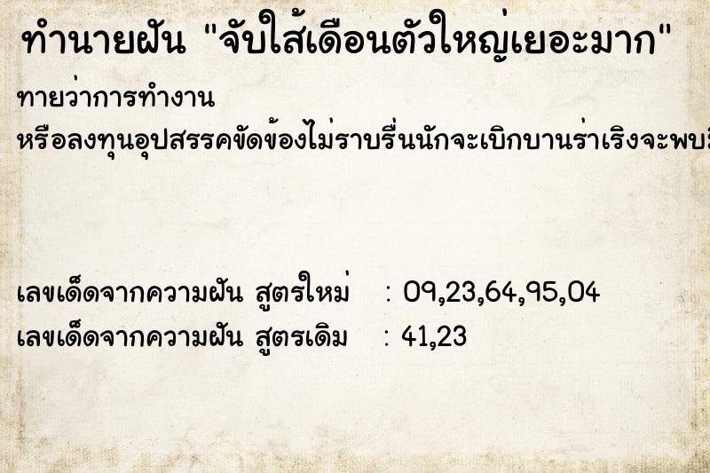 ทำนายฝันทำนายฝันจับใส้เดือนตัวใหญ่เยอะมาก