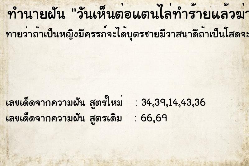 ทำนายฝันวันเห็นต่อแตนไล่ทำร้ายแล้วฆ่ามันตาย ทำนายฝันทำนายฝันวันเห็นต่อแตนไล่ทำร้ายแล้วฆ่ามันตาย