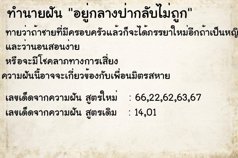 ทำนายฝันทำนายฝันอยู่กลางป่ากลับไม่ถูก