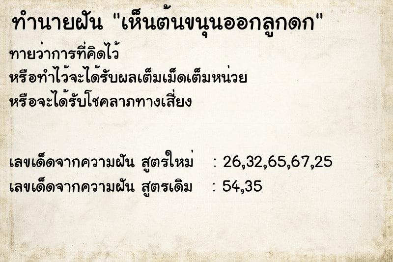 ทำนายฝัน เห็นต้นขนุนออกลูกดก
