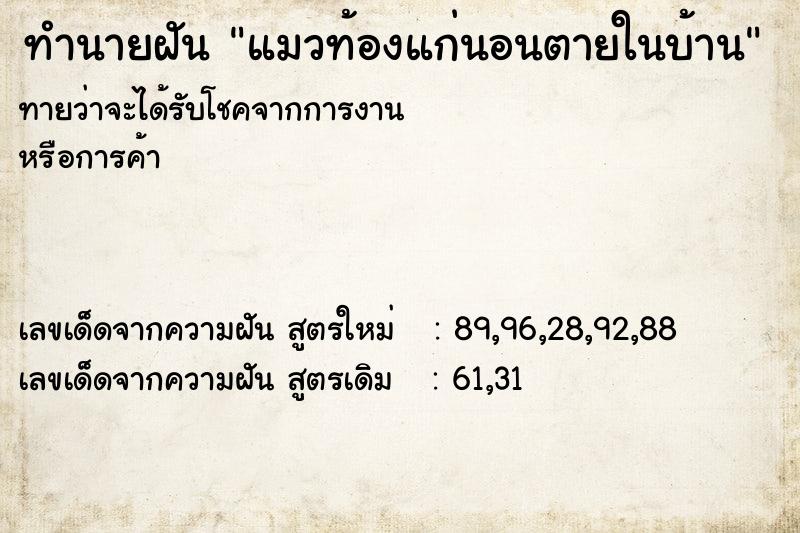 ทำนายฝันแมวท้องแก่นอนตายในบ้าน ทำนายฝันทำนายฝันแมวท้องแก่นอนตายในบ้าน