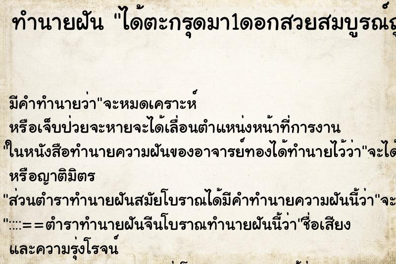 ทำนายฝัน ได้ตะกรุดมา1ดอกสวยสมบูรณ์ถูกใจ ทำนายฝัน ได้ตะกรุดมา1ดอกสวยสมบูรณ์ถูกใจ