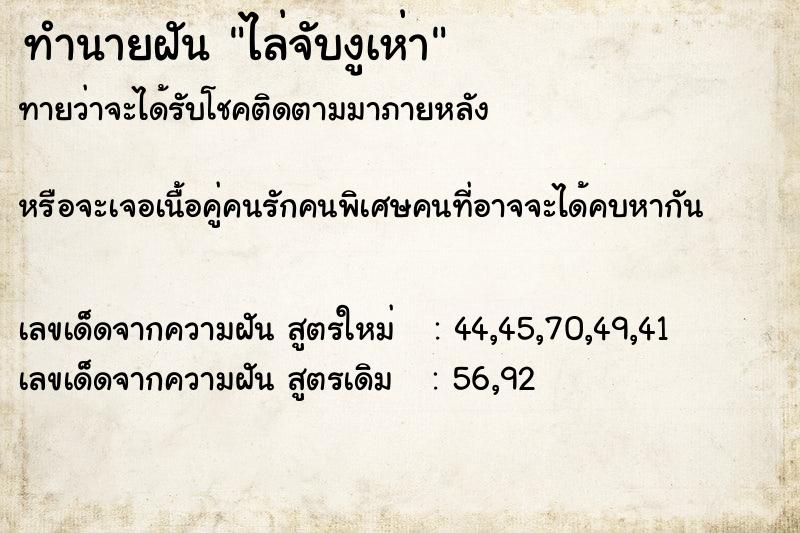 ทำนายฝัน ไล่จับงูเห่า ทำนายฝัน ไล่จับงูเห่า