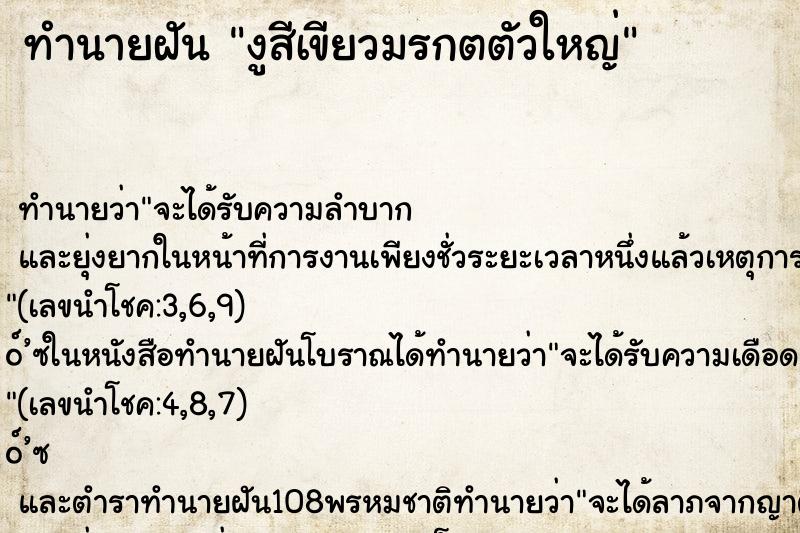 ทำนายฝัน งูสีเขียวมรกตตัวใหญ่ ทำนายฝัน งูสีเขียวมรกตตัวใหญ่