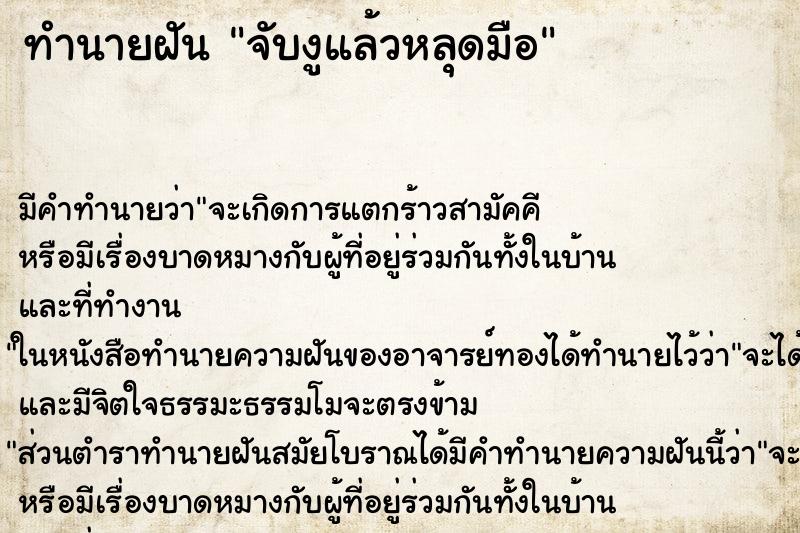 ทำนายฝัน จับงูแล้วหลุดมือ ทำนายฝัน จับงูแล้วหลุดมือ