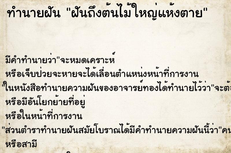 ทำนายฝัน ฝันถึงต้นไม้ใหญ่แห้งตาย ทำนายฝัน ฝันถึงต้นไม้ใหญ่แห้งตาย