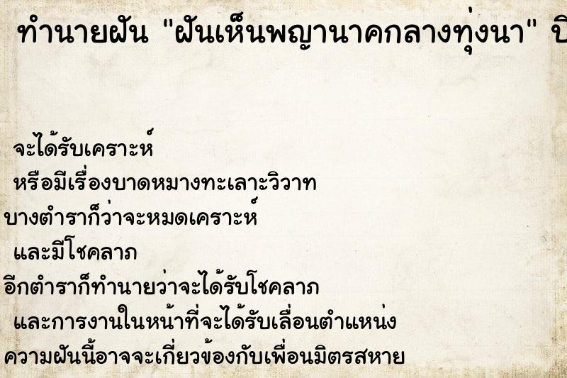 ทำนายฝันฝันเห็นพญานาคกลางทุ่งนา ทำนายฝันทำนายฝันฝันเห็นพญานาคกลางทุ่งนา