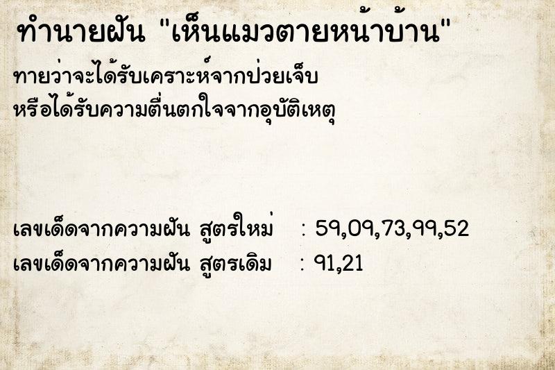 ทำนายฝันเห็นแมวตายหน้าบ้าน ทำนายฝันทำนายฝันเห็นแมวตายหน้าบ้าน