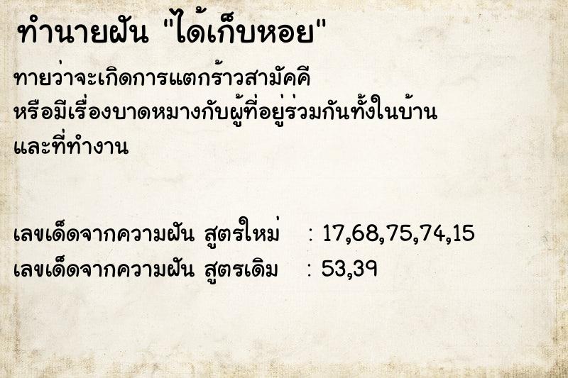 ทำนายฝัน ได้เก็บหอย